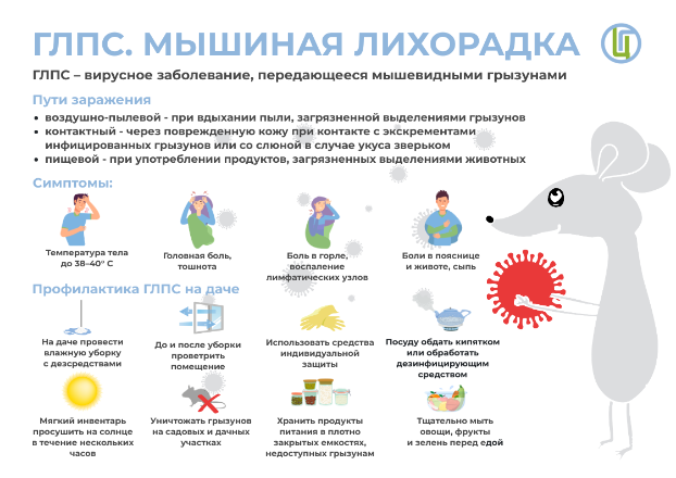 Информация по профилактике ГЛПС (мышиная лихорадка).