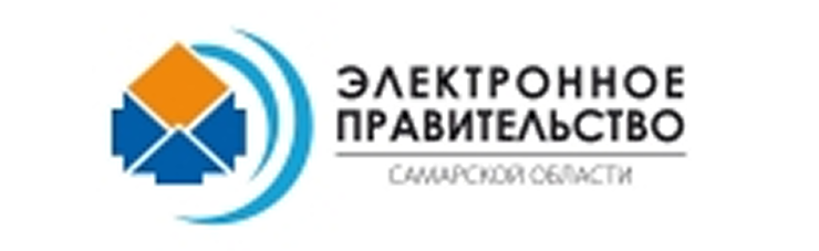 Электронное правительство