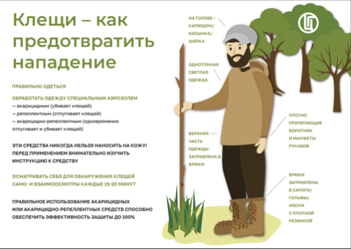 Профилактика клещевого вирусного энцефалита и клещевого боррелиоза