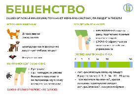 Информация о мерах профилактики бешенства