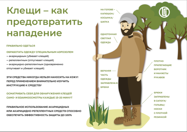 Памятка: как предотвратить нападение клещей.