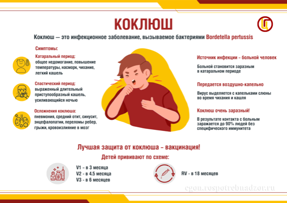 Профилактика коклюша