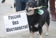 Единая Россия добилась принятия закона о защите животных.