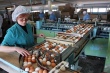 В «Единой России» требуют сохранить укорочённую рабочую неделю для женщин в сельской местности